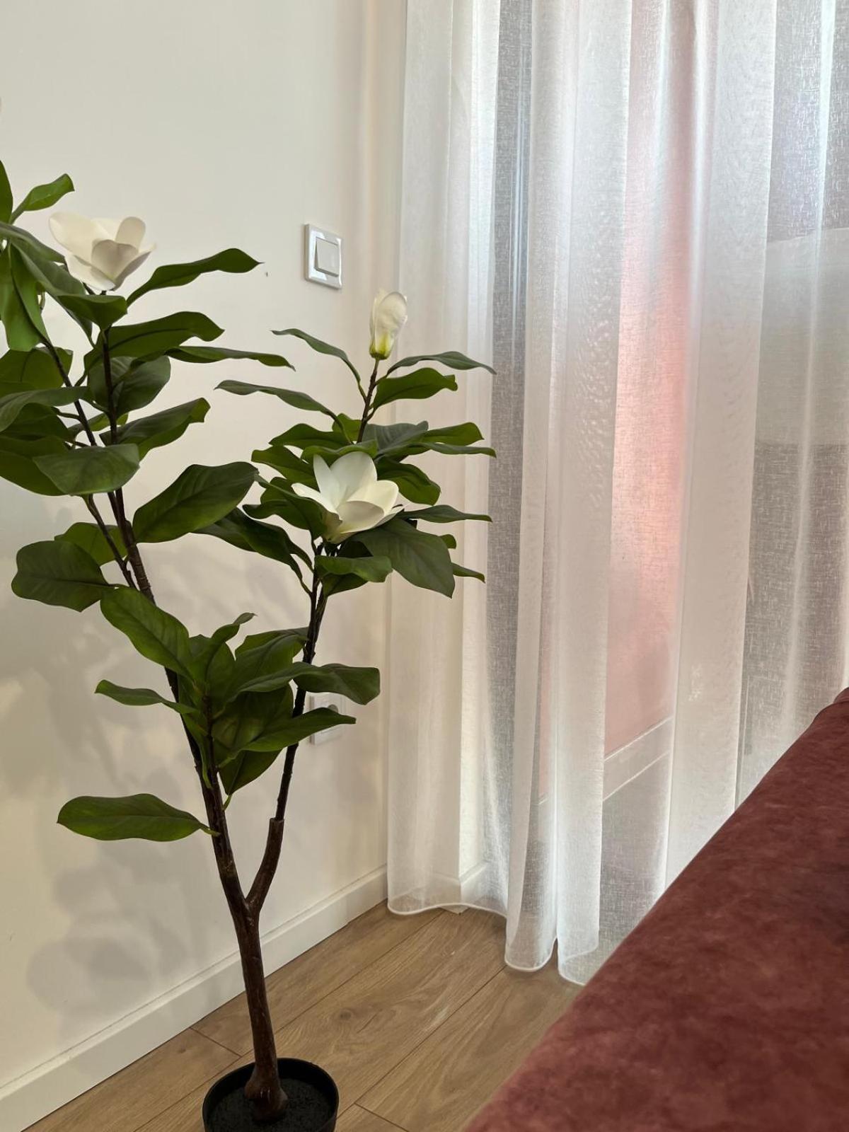 Apartma Ilidza Sky *